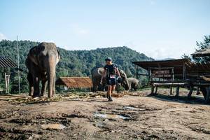 BIB: 1991
                            <button type="button" onclick="openModal(22422920)" class="btn btn-primary btn-sm float-right btn-popup" data-toggle="modal" data-target=".modal-high-quality">
                        <i class="fas fa-shopping-cart"></i> Add to Cart
                    </button>
                                            <button type="button" onclick="isThisMe(22422920, true)" class="btn btn-success btn-sm float-right btn-popup btn-isme hidden" data-toggle="tooltip" data-placement="bottom" title="นี่คือรูปของคุณใช่ไหม คลิกที่นี่เพื่อเอาเข้าอัลบั้ม">
                        <i class="fas fa-plus"></i> Add to album
                    </button>
                    <button type="button" onclick="isThisMe(22422920, false)" class="btn btn-warning btn-sm float-right btn-popup btn-isnotme hidden">
                        <i class="fas fa-ban"></i> Remove from album
                    </button>